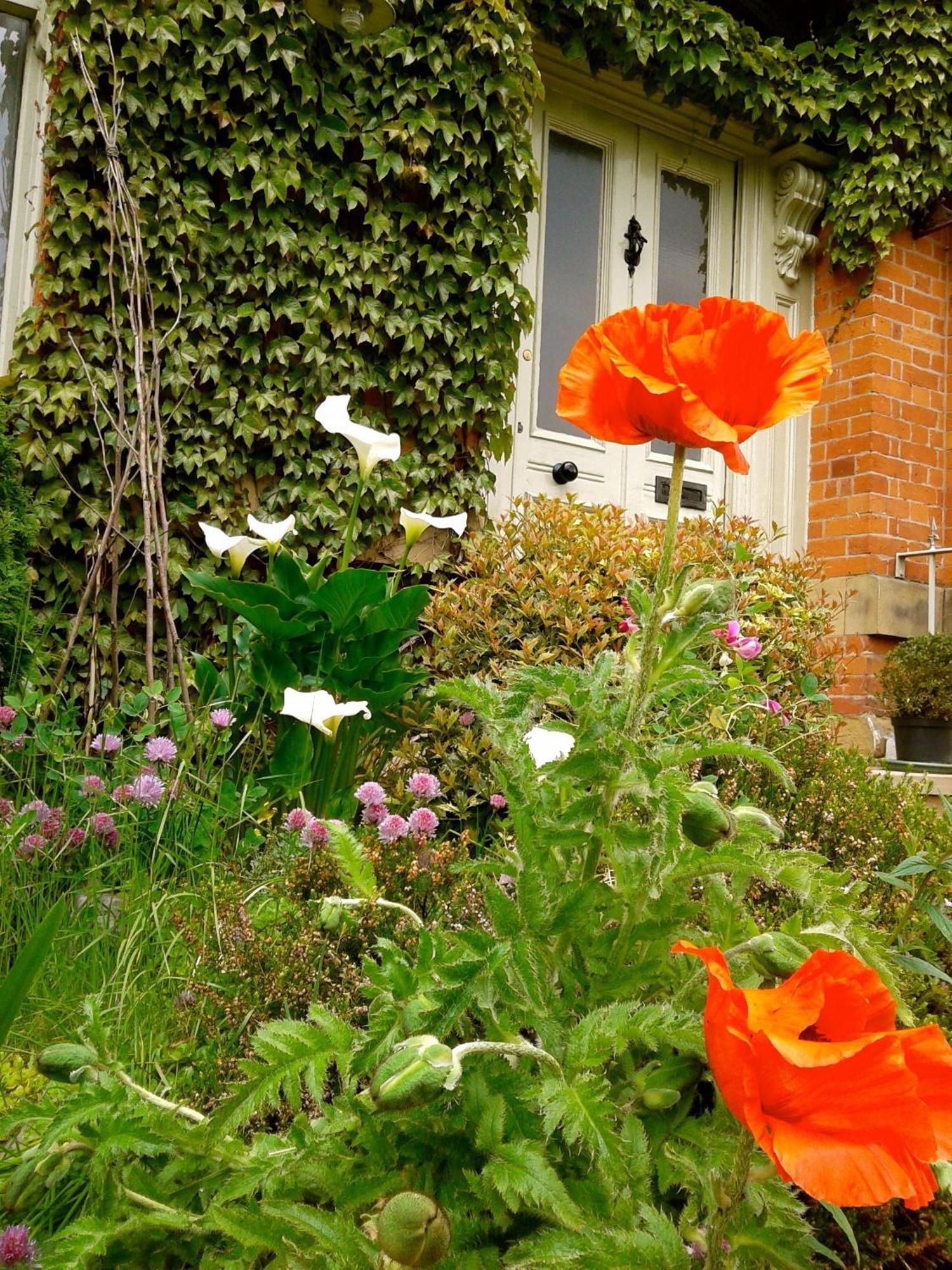 Cornerstones Guest House Sale Εξωτερικό φωτογραφία